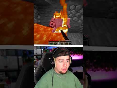 J'ai sauvé mon Chien sur Minecraft !