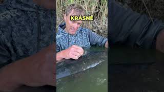 ZÁLEŽÍ NA VELIKOSTI PLOUTVIČKY? 🫪