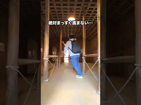 絶対にまっすぐ歩けない!? 謎すぎテーマパークが楽しかった #shorts