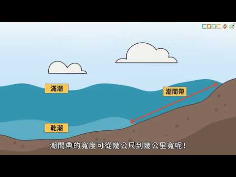 臺灣的海岸與利用 - YouTube