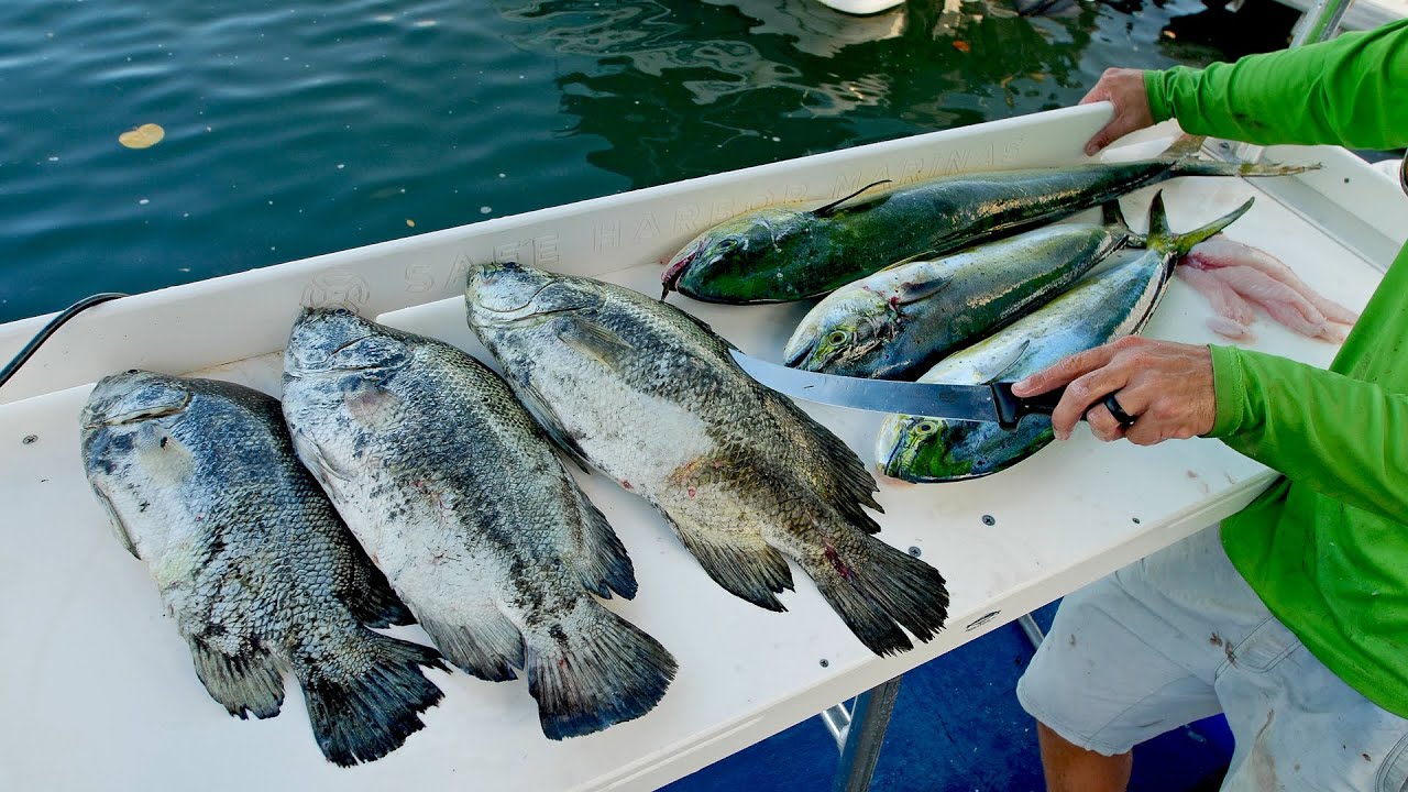 Tripletail & Dolphin Clean N Cook