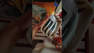 My Pet Seagull Performs A Sardine Battle Cry!!