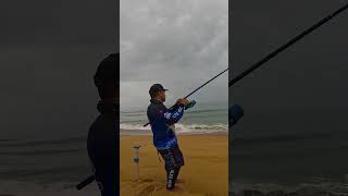 Peixe gigante no anzol