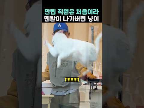 만렙 직원은 처음이라 멘탈이 나가버린 냥이ㅋㅋㅋㅋㅋ