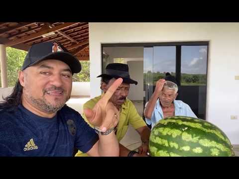 CHARLLES, TIRINGA, LOPIM E A ENCHENTE NO PAJEÚ | COMÉDIA SELVAGEM ®