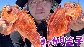 漁師はガッカリ学者はウッカリ、でも野食ハンターはニッコリの魚