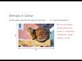 Understanding Bitmap Images