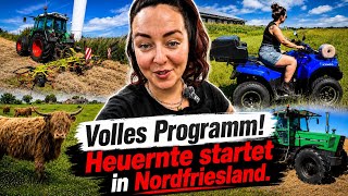 Endlich wieder Trecker fahren! Kehren, Schwaden, Landleben 🚜 🐑 🐮 Neues vom Hof Sibbershusum