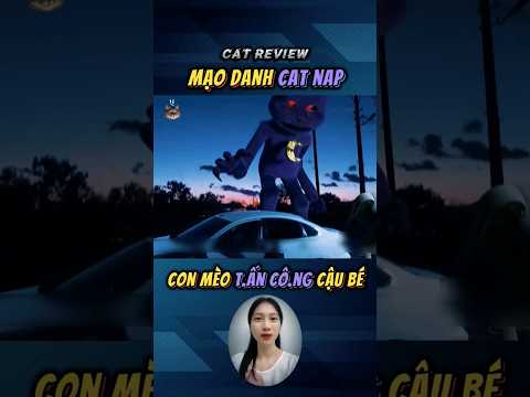m.ạo danh CatNap, con mèo tấn cô.ông cậu bé #kythu #docla #review #catreview