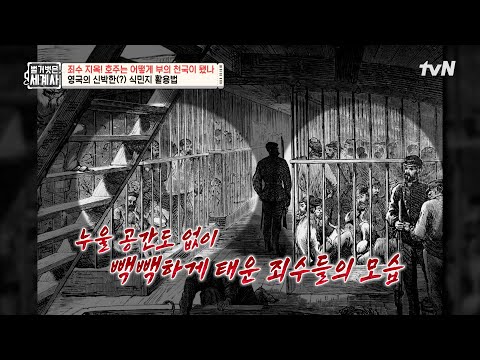 수많은 영국 죄수의 노동으로 형성된 호주의 도시들?! #벌거벗은세계사 EP.210 | tvN 250701 방송