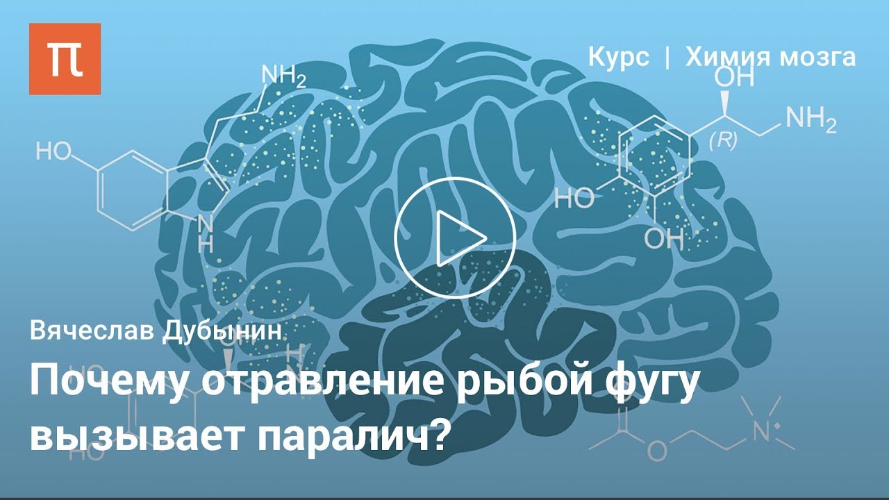 Электрические свойства нейронов --Вячеслав Дубынин