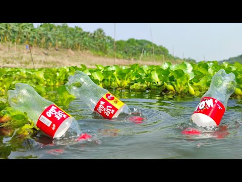 Plastic Bottles Fish Trap | Traditional Catch Fish With Hook & Plastic Bottle Fish Trap