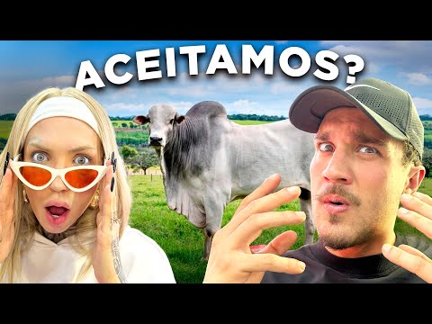 RECEBEMOS UMA PROPOSTA INUSITADA NA NOSSA CASA!