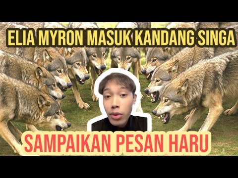 PESAN MERINDING ELIA MYRON TAK MUNDUR SEBARKAN INJIL WALAU MASUK KANDANG SERIGALA