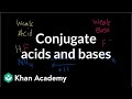 Conjugate Acids and Bases Concepts