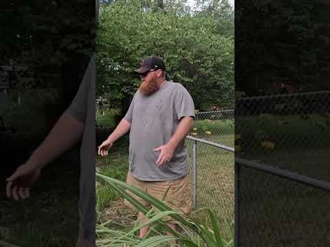 He was Homeless, I HAD to DO THIS!