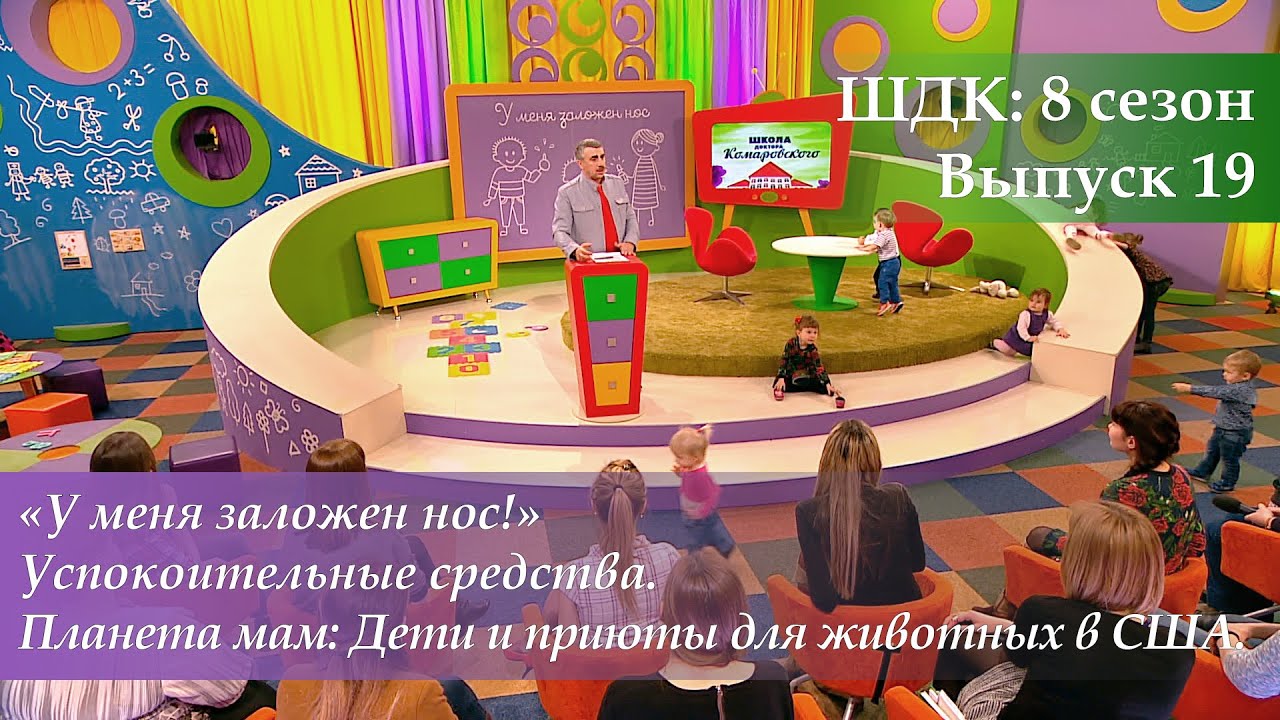У меня заложен нос! Успокоительные средства. Приюты для животных в США
