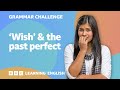 Expressing Regret and Past Tense