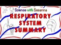 Exploring the Respiratory System