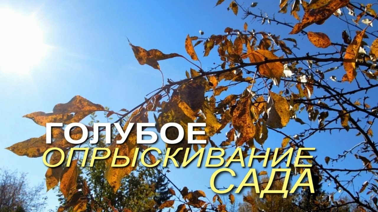 Обязательно сделайте такую обработку сада!