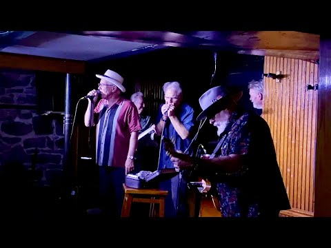Mark Hummel, Anson Funderburgh, Jimmy Vivino, Adam Gussow - Turning Point, Piermont NY