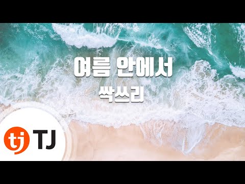 [TJ노래방] 여름안에서 – 싹쓰리(Covered By 싹쓰리)(Feat.황광희) / TJ Karaoke