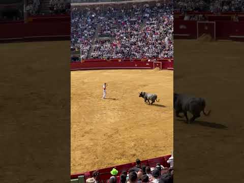 “EL PASITO PARA ADELANTE” concurso de recortes VALENCIA 2024