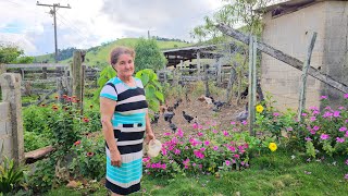 COM LINDAS FLORES ELA ESTA MUDANDO ESSE JARDIM!