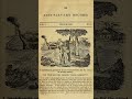 Abolitionist Movements and Historical Perspectives