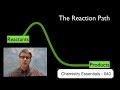 Chemistry Essentials: Reaction Path and Activation Energy