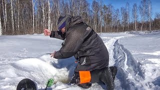 видео
