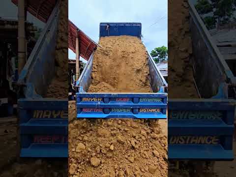 ভাইরাল করে দাও