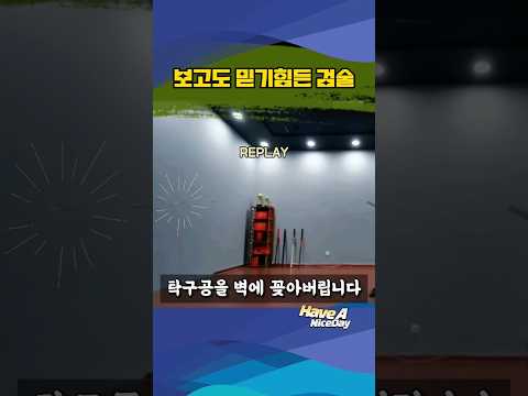 직접 보고도 믿기 힘든 검술