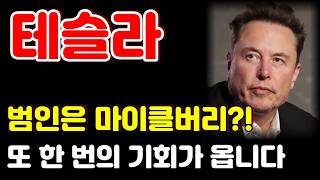 [테슬라 전망] 단기간 대응이 어려우면 일단 지켜봅시다. 장기 채널 하단 '이 가격'을 확인하세요.