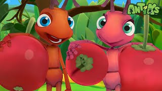 Antiks | Full Episodes | Cherry Thieves | Cartoons for Kids