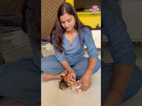 Mummy 👩 ne subha subha  sare baccho 👶🏻 ko taiyar kiya aur dudh pilaya