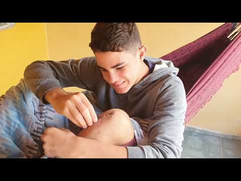 COMO MANTER O ORGANISMO IMUNE KKKKKKKKKKKKKKKK