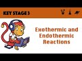 Exploring Exothermic and Endothermic Reactions