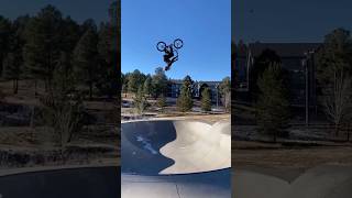 Best of the Year 2025