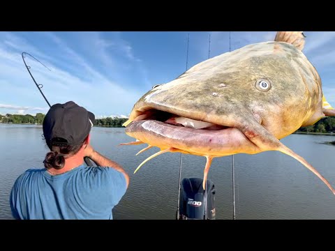 NONSTOP Catfishing Action On Live CRAWFISH {Catch Clean Cook} Catching Our BAIT