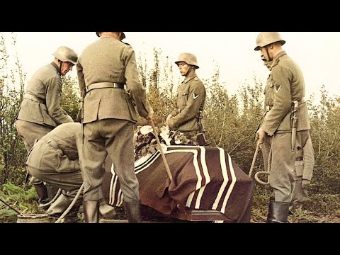 What Happened To The Dead Bodies After The Battle Of Berlin?