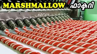 MARSHMALLOW നിർമ്മാണം | മധുരമുള്ള MARSHMALLOW ഉണ്ടാക്കുന്നത് കണ്ടിട്ടുണ്ടോ ?