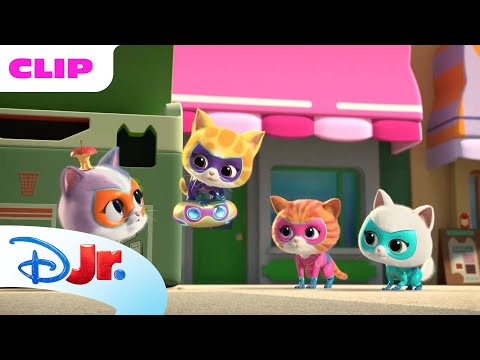 SuperKitties | Treino de SuperGatinhos