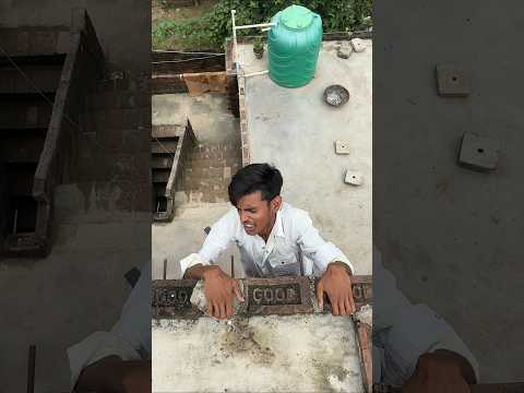 kabutar love story ❤ 😱🕊️😥_#pigeon_#birdlovers_#shortsfeed_#ytshorts_#viralvideo_😱🕊️😭😍🙏🙏🏻