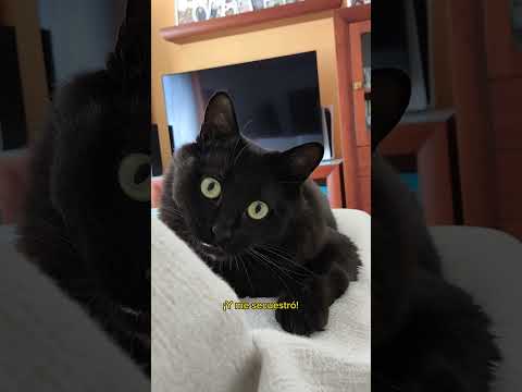 El día que conocí a Karen