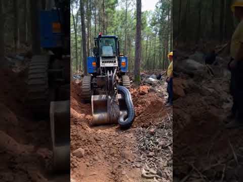 A large caught in an excavator found during excavations..
