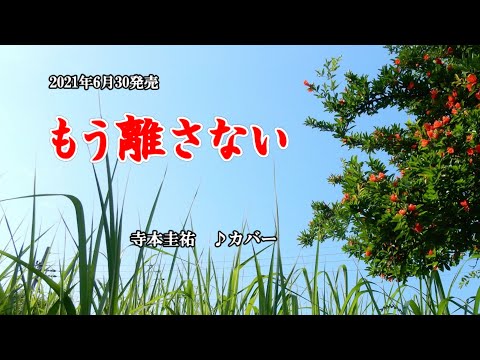 『もう離さない』寺本圭祐　カバー　2021年6月30日発売