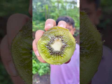 KIWI #shorts #mukbang