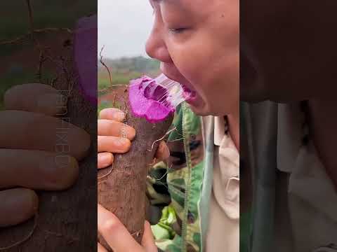"You Won’t Believe These Rare Asian Fruits Exist! 😱 | No Seeds, No Problem #fruit #farming #shorts