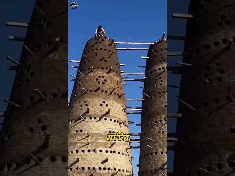 This Strange Mud Tower Is Actually a Smart Pigeon Home!